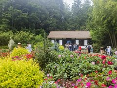 -庐山风景区花径公园