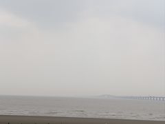 -南汇新城海滩