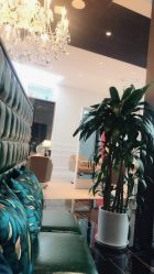 -FLAIR HAIR SALON