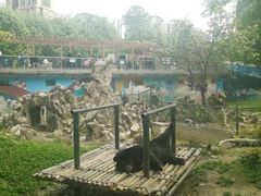 景点-成都动物园