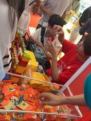 -乐高授权专卖店(中关村领展店)