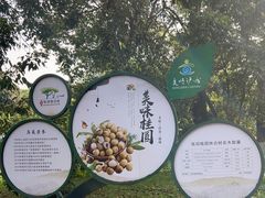 -张坝桂圆林公园