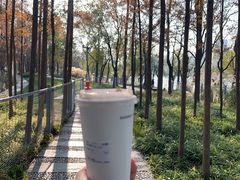 -LANN I 蘭 SPA(陆家嘴中心店)