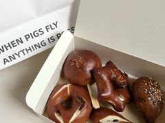 -WHEN PIGS FLY当猪飞