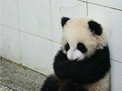 -邓记一品生煎(奥克斯广场店)