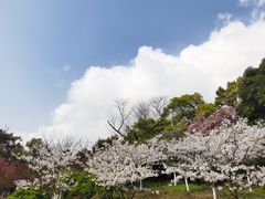 -南山植物园