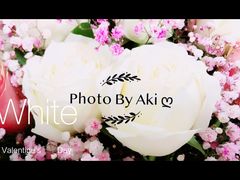 -PETIT PARIS 小巴黎(花园道店)