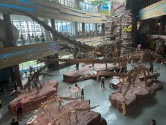 -安徽省地质博物馆