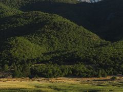 -玉湖村