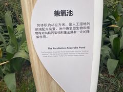 -成都市活水公园