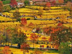 -塔川景区