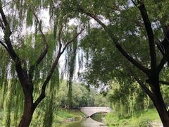 -大兴滨河森林公园