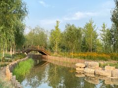-张家湾公园