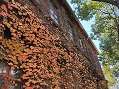 -半岛1919创意园区