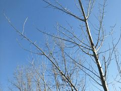 -鱼酷活鱼烤鱼(恒隆广场店)