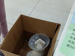 -美联众合动物医院·24h京西诊疗中心