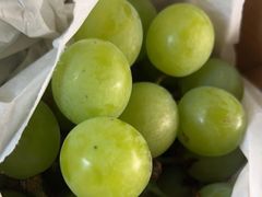 -马陆小张葡萄园农家乐