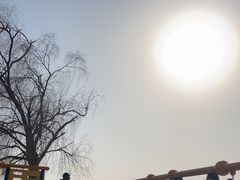 -大兴滨河森林公园