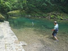 -黎坪国家森林公园
