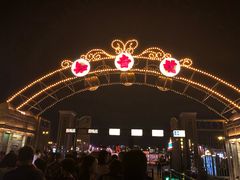 -武汉知音号