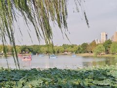 -武汉园博园(武汉自然博物馆)