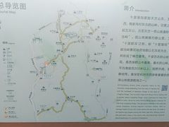 -十里琅珰