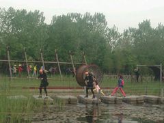 -溱湖国家湿地公园