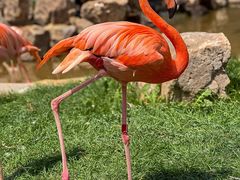 -沈阳森林动物园