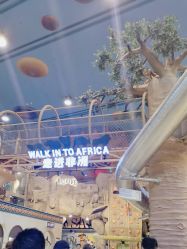 点击看大图 -卡通尼·Safari非洲探索乐园·生日会(金桥国际商业广场店)