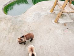 -哈尔滨北方森林动物园