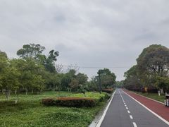 -八大山人梅湖景区