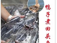 -陈大锅·岳阳鱼馆·地道岳阳菜(美食街店)