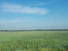 -天津东丽湖风景区