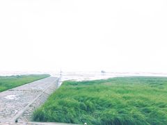 -南汇嘴观海公园