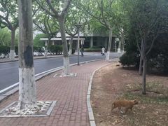 -大连理工大学(凌水校区)