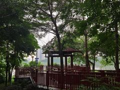 -广东花都湖国家湿地公园
