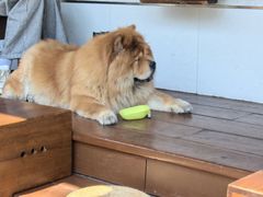 -Brut Eatery悦璞食堂(愚园路店)