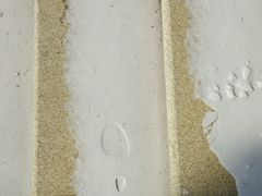 -平湖九龙山庄园圣马可酒店