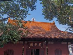 -深圳仙湖植物园
