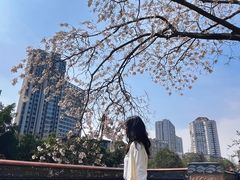 -红星桥(地铁站)