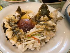 -博雅渔港·融合菜(维也纳国际大酒店)