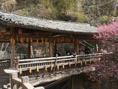-林坑古村落