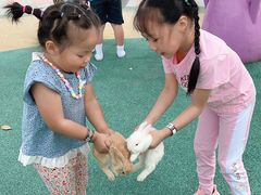 -季高兔窝窝亲子园(上海薰衣草公园店)