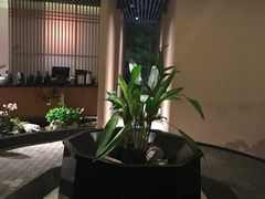 -青藤茶馆(凤起路店)