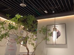 -大榕树下顺德菜(融创茂店)