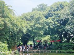 -成都市活水公园