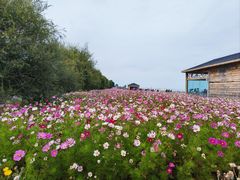 -青海湖二郎剑景区