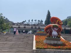 -大连森林动物园