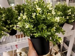 -宜家家居(哈尔滨商场店)