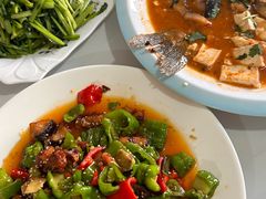 -煲来饱去冷水鱼